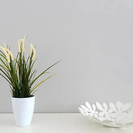 Castelfidardo Appartamento Roma